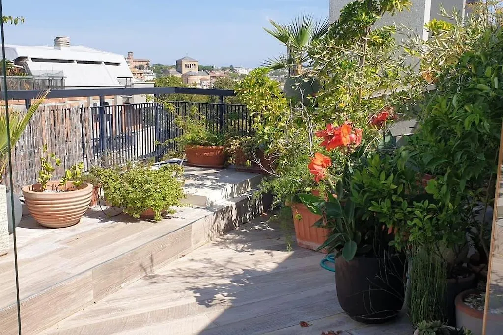 Apartment Penthouse Utopoli -Porta Portese Rome